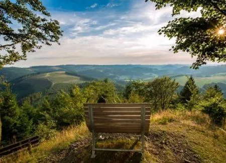 Sauerland-hotel Essentho