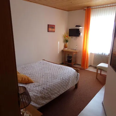 فندق Sauerland-hotel 3*