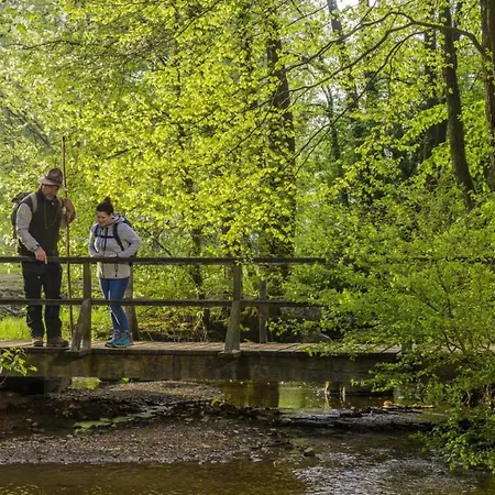 فندق Sauerland-hotel Essentho