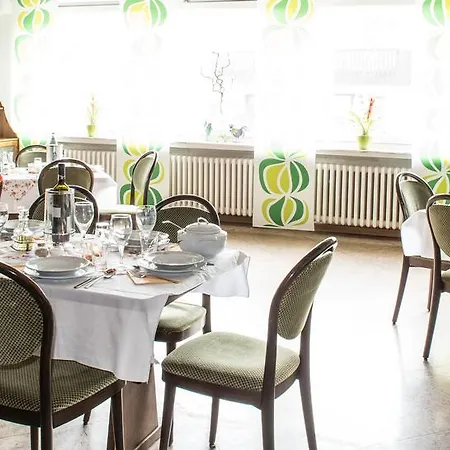 Hotel Sauerland-hotel Essentho