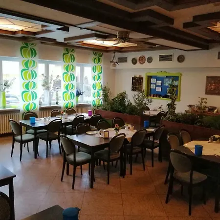 فندق Sauerland-hotel 3*