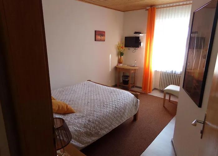 فندق Sauerland-hotel 3*