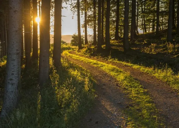 Отель Sauerland-hotel 3*