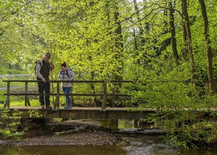 Отель Sauerland-hotel Essentho