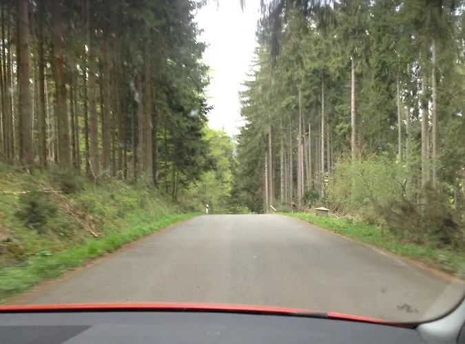 Sauerland-hotel 3* Essentho