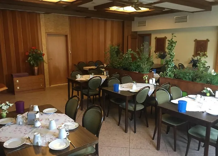 Sauerland-hotel Отель 3*